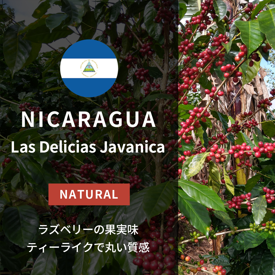 ルワンダ | ORIGIN COUNTRIES for Small Batch Coffee（Small